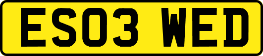 ES03WED