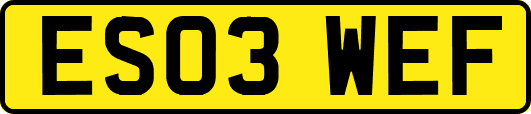 ES03WEF