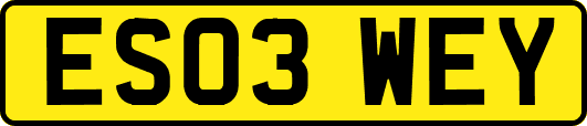 ES03WEY