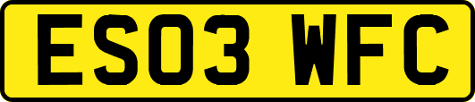 ES03WFC