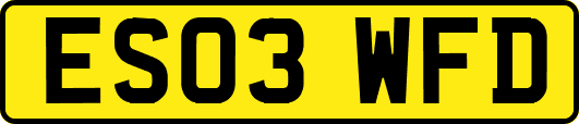 ES03WFD