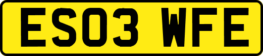 ES03WFE