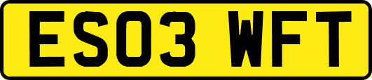 ES03WFT