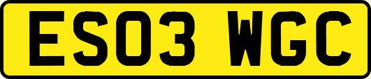 ES03WGC