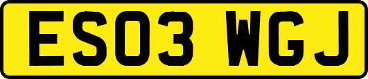 ES03WGJ