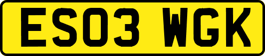 ES03WGK