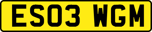 ES03WGM