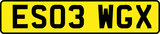 ES03WGX