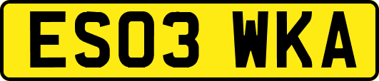 ES03WKA