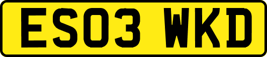 ES03WKD