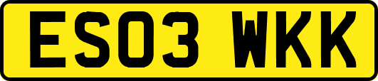 ES03WKK