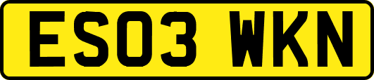 ES03WKN
