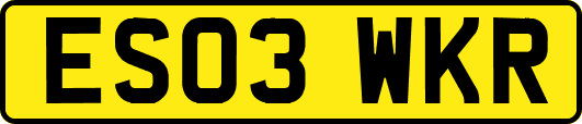 ES03WKR