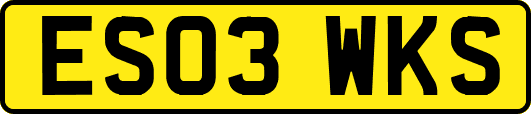 ES03WKS