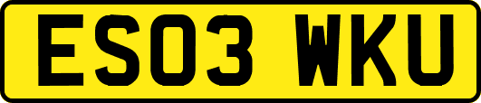 ES03WKU