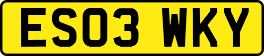 ES03WKY