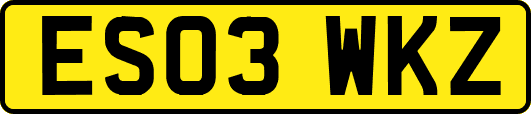 ES03WKZ