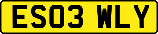 ES03WLY