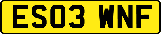 ES03WNF