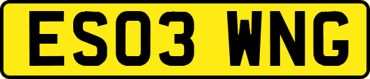 ES03WNG