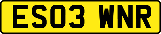 ES03WNR