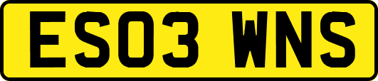 ES03WNS