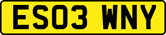 ES03WNY