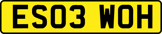 ES03WOH