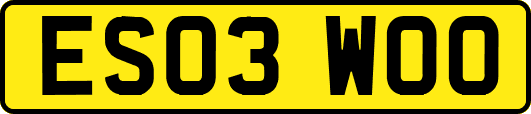 ES03WOO