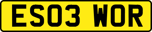 ES03WOR