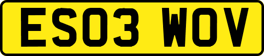 ES03WOV