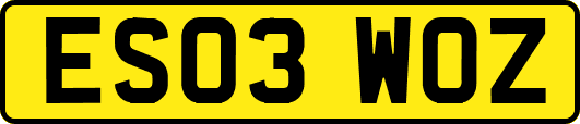ES03WOZ