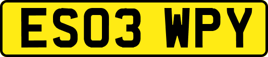 ES03WPY