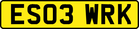 ES03WRK