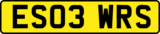 ES03WRS