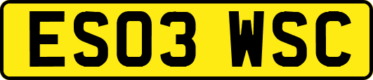 ES03WSC