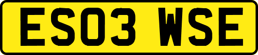 ES03WSE