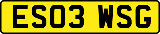 ES03WSG