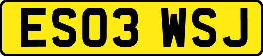 ES03WSJ