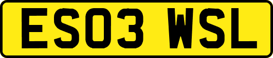 ES03WSL
