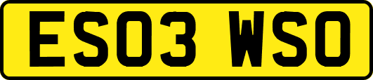 ES03WSO