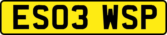 ES03WSP