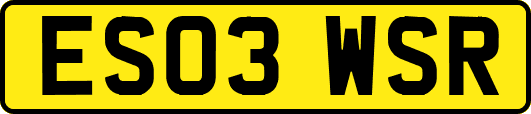 ES03WSR