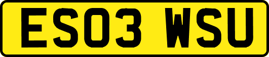 ES03WSU