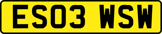 ES03WSW