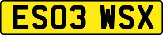 ES03WSX
