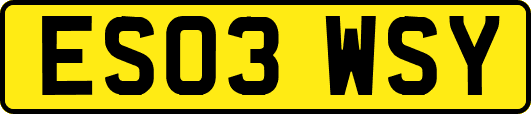 ES03WSY