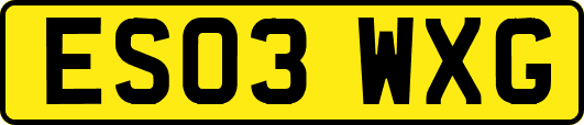 ES03WXG