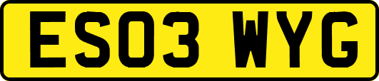 ES03WYG