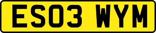 ES03WYM